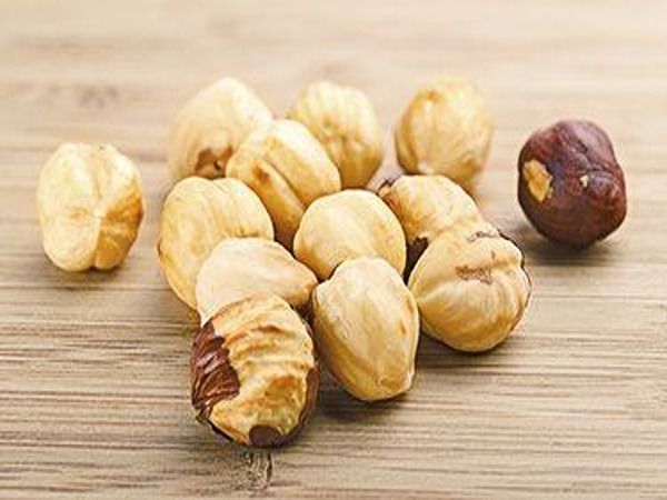 تصویر 3 از خرید مغز فندق عمده + قیمت فروش استثنایی