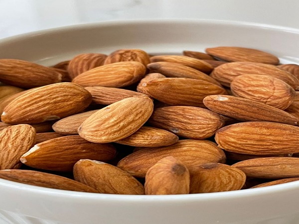 تصویر 1 از قیمت خرید مغز بادام قرمز با فروش عمده