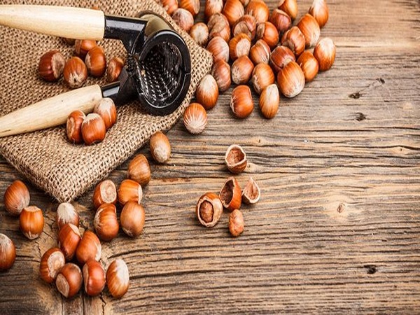 تصویر 4 از فروش مغز فندق خام + قیمت خرید به صرفه