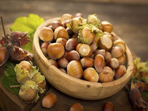 فروش مغز فندق خام + قیمت خرید به صرفه