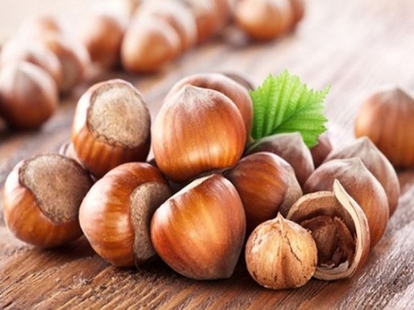 تصویر 1 از قیمت مغز فندق درجه یک + خرید باور نکردنی