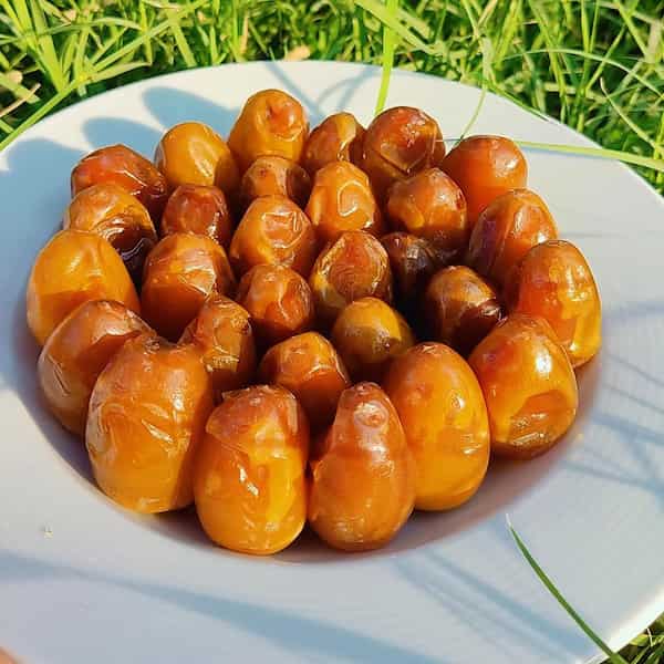 تصویر 5 از قیمت خرید خرما برحی سطلی با فروش عمده