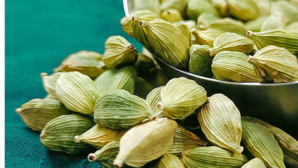 تصویر 5 از خرید و قیمت هل سبز فله + فروش عمده