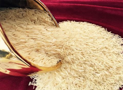 تصویر 5 از خرید و قیمت برنج هندی جشنواره پارس + فروش عمده