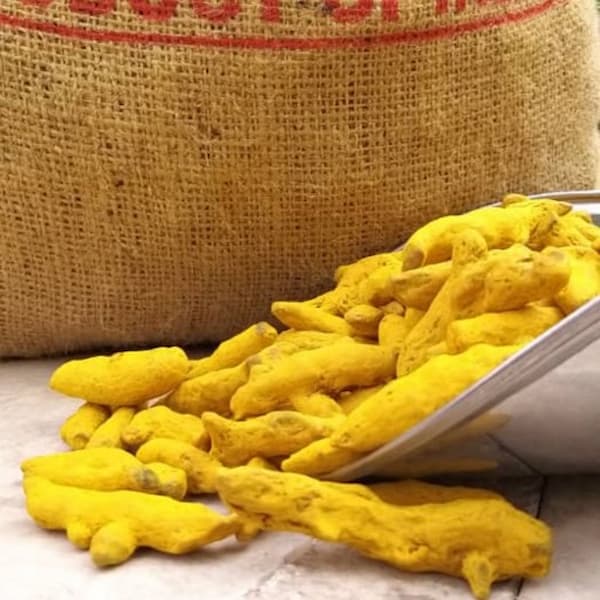 تصویر 3 از قیمت خرید زردچوبه عمده با فروش عمده