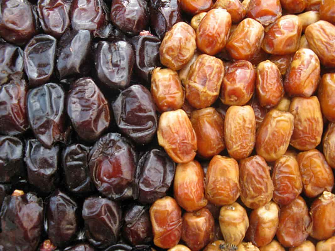 تصویر 4 از فروش خرما زاهدی ممتاز + قیمت خرید به صرفه