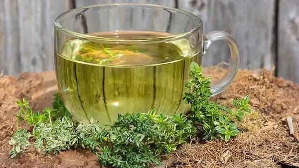 تصویر 5 از قیمت عرق آویشن شیرازی با کیفیت ارزان + خرید عمده