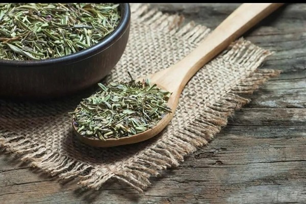 تصویر 3 از خرید برگ اویشن تازه + قیمت فروش استثنایی