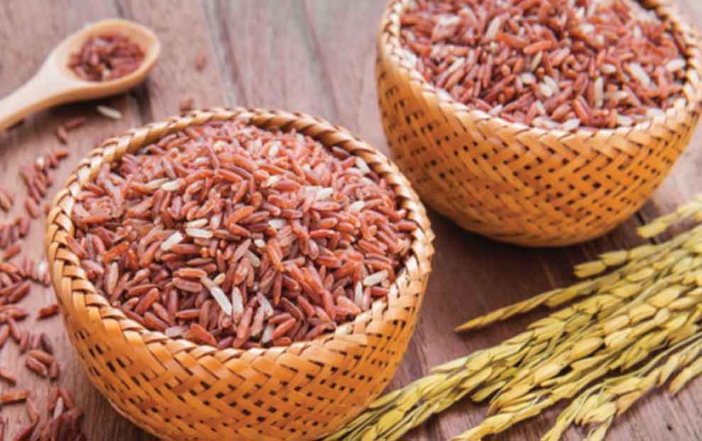 تصویر 1 از فروش برنج کامفیروزی قهوه ای + قیمت خرید به صرفه