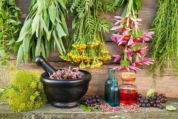 تصویر 1 از قیمت خرید پودر گل اسطوخودوس + فروش ویژه