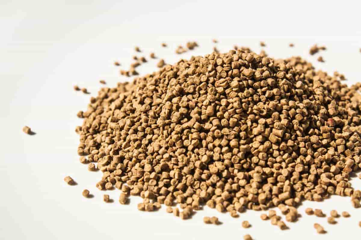 تصویر 4 از قیمت خرید پودر ماهی برای درخت + فروش ویژه