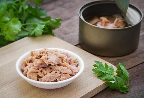 تصویر 5 از قیمت خرید تن ماهی کنارک مهر + فروش ویژه