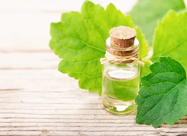تصویر 5 از قیمت عرق بادرنجبویه ارومیه + خرید باور نکردنی