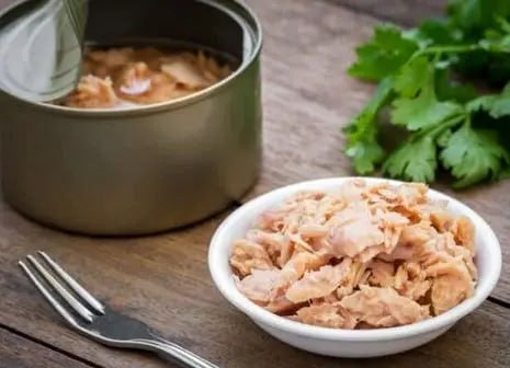تصویر 2 از فروش کنسرو تن ماهی زرده + قیمت خرید به صرفه