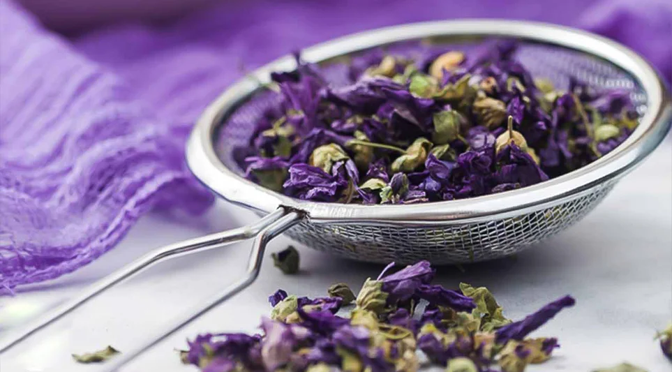تصویر 5 از قیمت خرید پنیرک خشک شده با فروش عمده