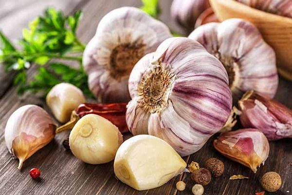 تصویر 1 از قیمت سیر مروارید همدان + خرید باور نکردنی