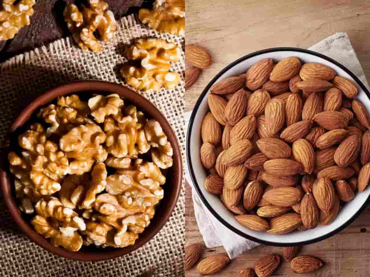 تصویر 3 از قیمت مغز گردو صادراتی + خرید باور نکردنی