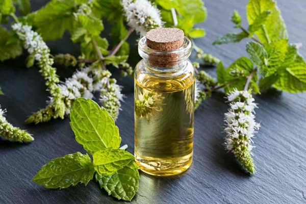 تصویر 3 از فروش عرق نعنا فلفلی برای معده + قیمت خرید به صرفه