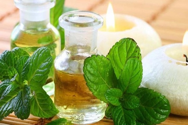 تصویر 4 از فروش عرق نعنا فلفلی برای معده + قیمت خرید به صرفه