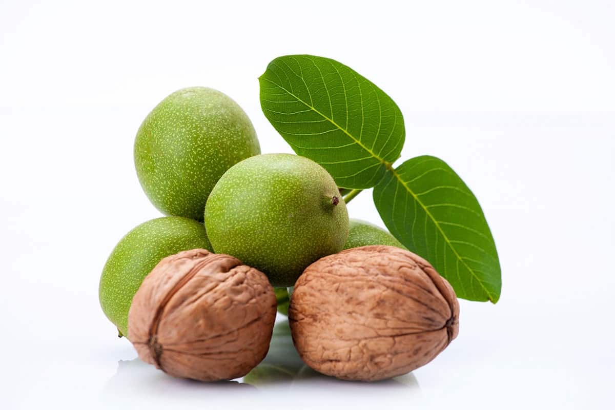 تصویر 2 از فروش گردو کاغذی مراغه + قیمت خرید به صرفه