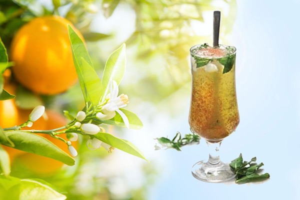 تصویر 1 از خرید عرق بهار نارنج + قیمت فروش استثنایی