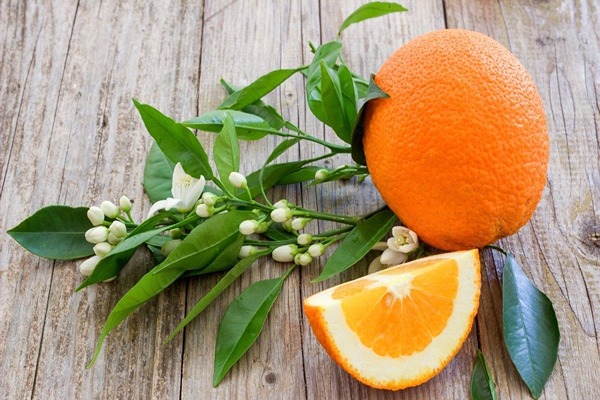 تصویر 5 از خرید عرق بهار نارنج + قیمت فروش استثنایی