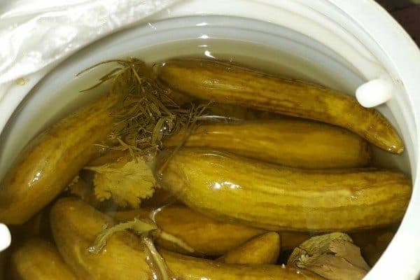 تصویر 1 از خرید خیارشور فله ای + قیمت فروش استثنایی