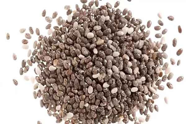 تصویر 5 از قیمت خرید دانه چیا سیاه عمده به صرفه و ارزان
