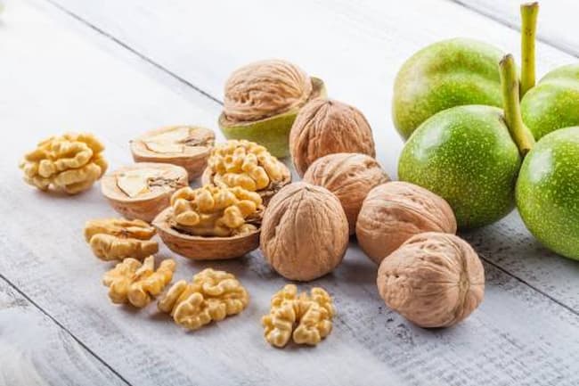 تصویر 3 از قیمت گردو کاغذی ایرانی + خرید باور نکردنی