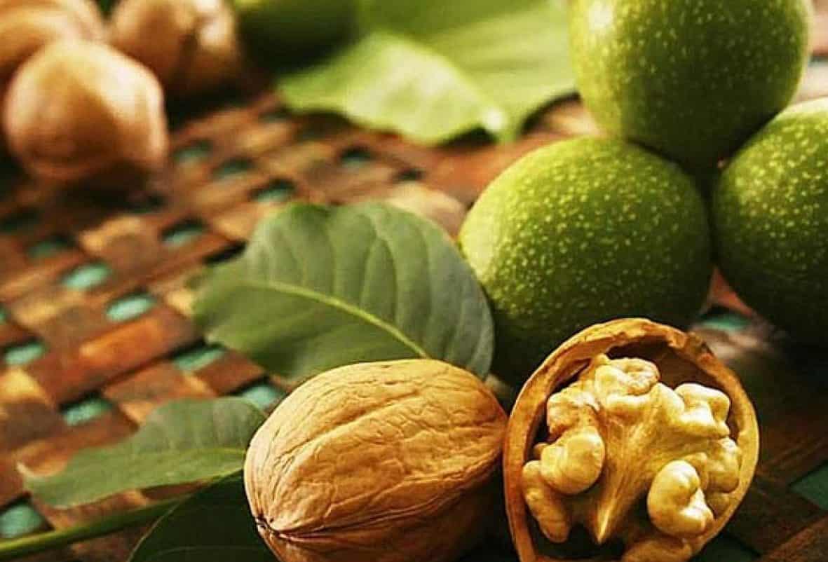 تصویر 5 از قیمت خرید گردو کاغذی اعلا + فروش ویژه