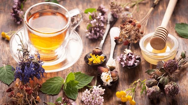 تصویر 4 از خرید و قیمت عصاره گزنه خوراکی + فروش عمده
