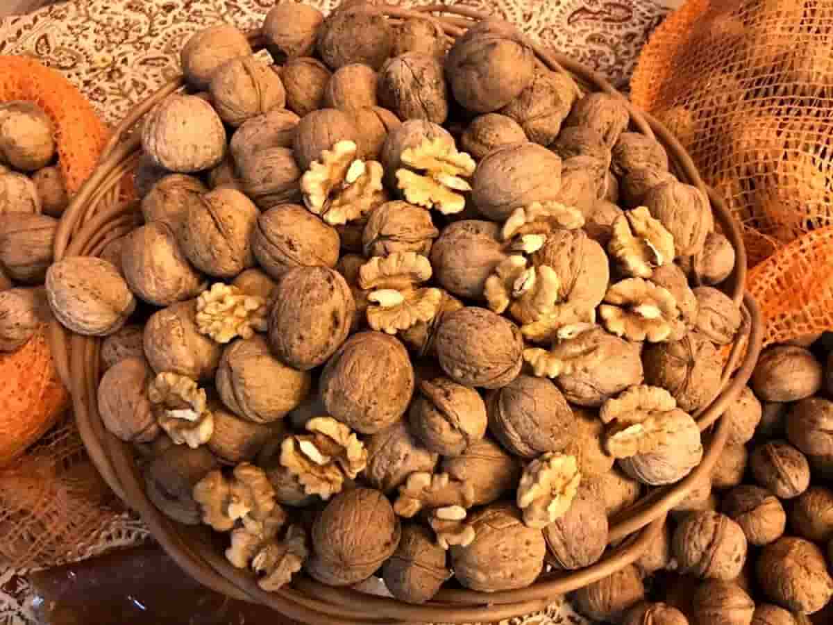 فروش گردو معروف همدان + قیمت خرید به صرفه