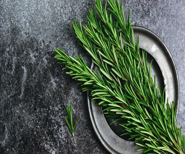 تصویر 1 از خرید شامپو رزماری اصل + قیمت فروش استثنایی