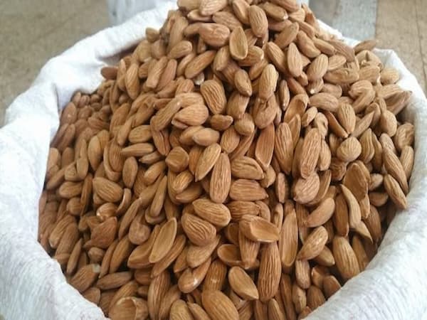 تصویر 4 از فروش مغز بادام شیرین درختی + قیمت خرید به صرفه