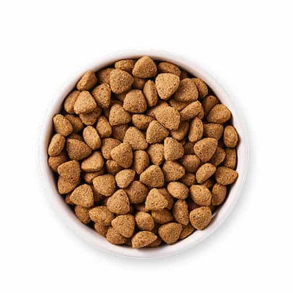 تصویر 1 از فروش خوراک سگ نگهبان + قیمت خرید به صرفه