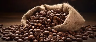 تصویر 5 از قیمت خرید دانه قهوه روبوستا با فروش عمده