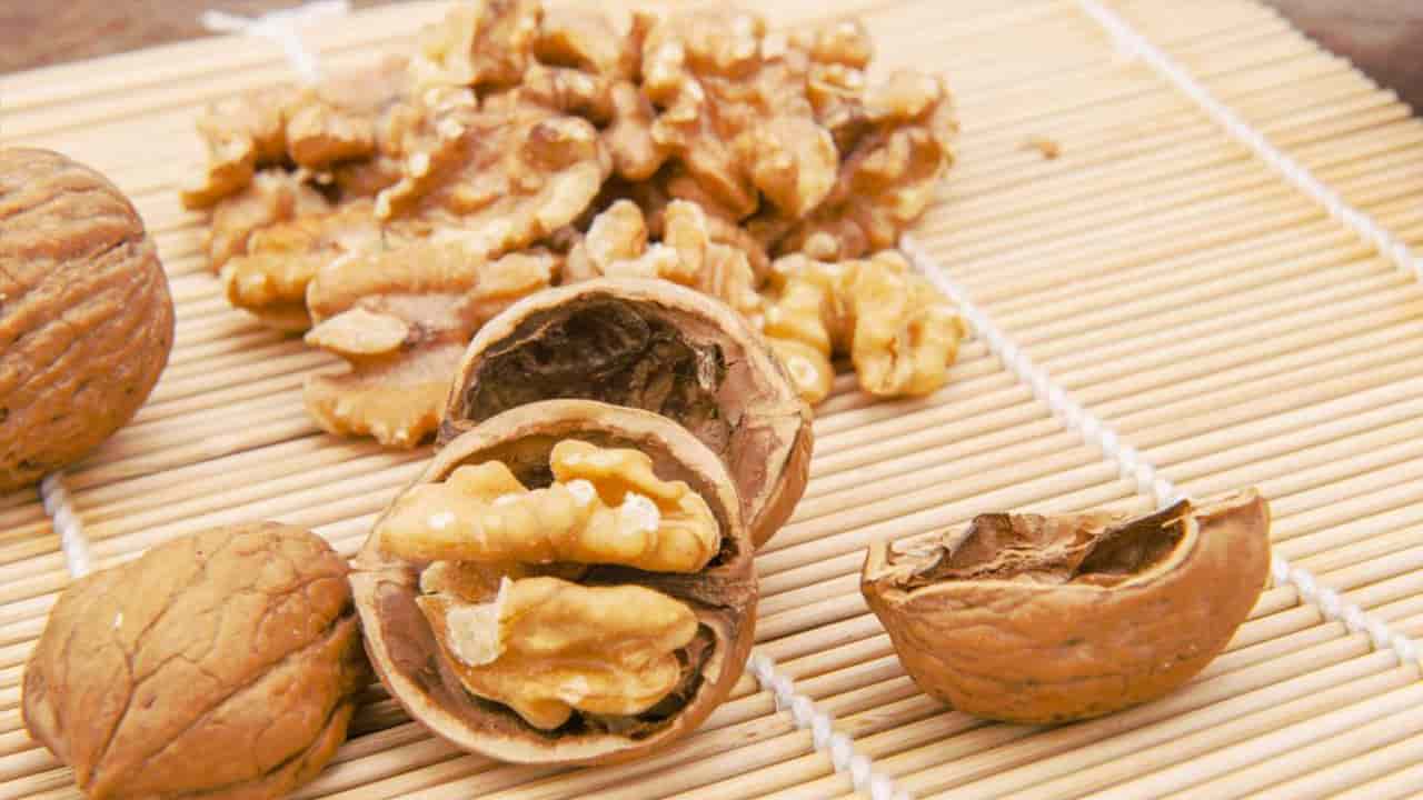 تصویر 5 از خرید گردو پوست سوزنی + قیمت فروش استثنایی