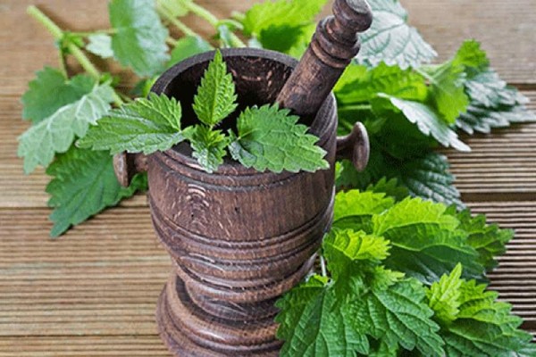 تصویر 1 از قیمت خرید شربت عرق گزنه با فروش عمده