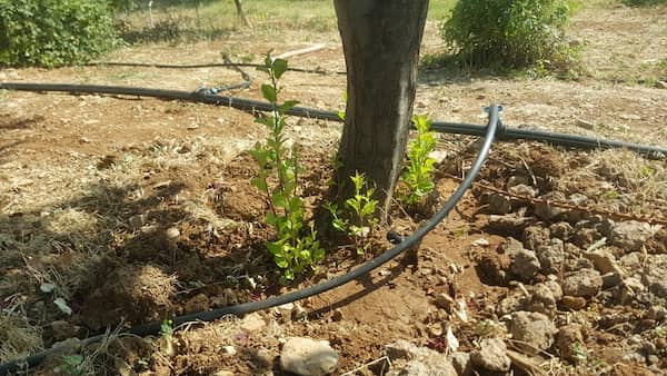تصویر 1 از خرید دستگاه آبیاری قطره ای + قیمت فروش استثنایی