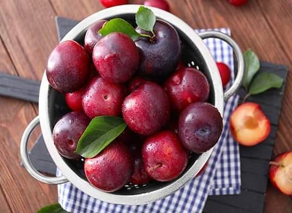 تصویر 1 از قیمت آلوچه ترش قرمز + خرید باور نکردنی