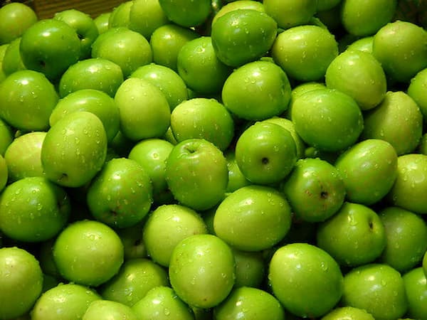 تصویر 3 از قیمت خرید آلوچه ترش سبز عمده به صرفه و ارزان