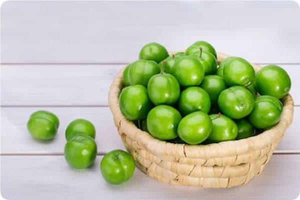 تصویر 3 از قیمت خرید آلوچه ترش سبز عمده به صرفه و ارزان