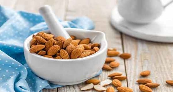 تصویر 5 از خرید و قیمت مغز بادام تلخ + فروش عمده