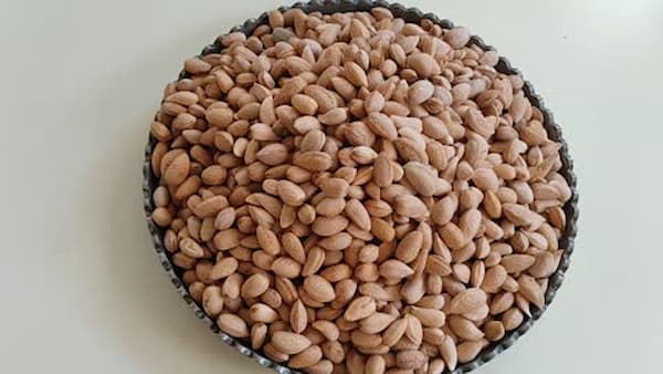 تصویر 3 از قیمت خرید مغز بادام سنگی + فروش ویژه