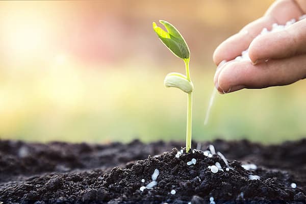 تصویر 5 از خرید کود شیمیایی سفید + قیمت فروش استثنایی