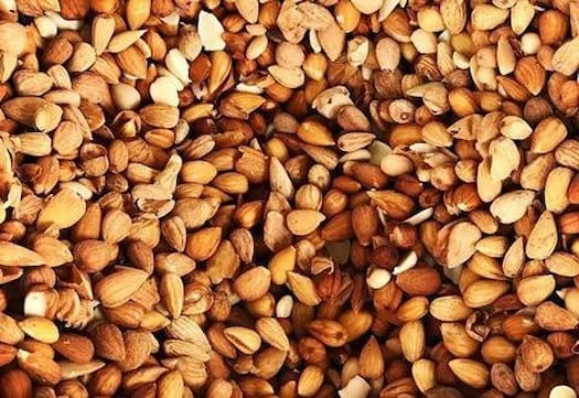 تصویر 1 از فروش مغز بادام کوهی + قیمت خرید به صرفه