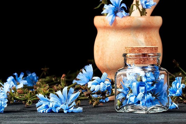 تصویر 2 از قیمت عرق کاسنی و شاتره اصل + خرید باور نکردنی