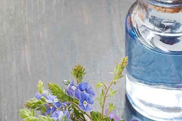 تصویر 5 از قیمت عرق کاسنی و شاتره اصل + خرید باور نکردنی
