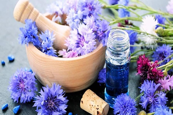 تصویر 2 از خرید و قیمت عرق گیاه کاسنی + فروش عمده