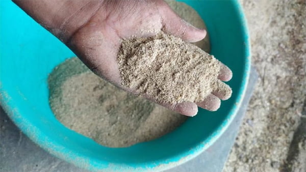 تصویر 2 از قیمت پودر گوشت مرغی + خرید باور نکردنی